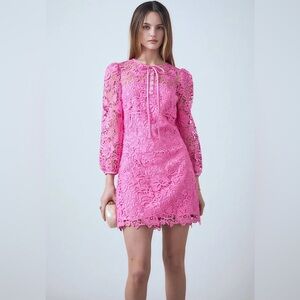 Endless Rose Lace Long Sleeve Minidress